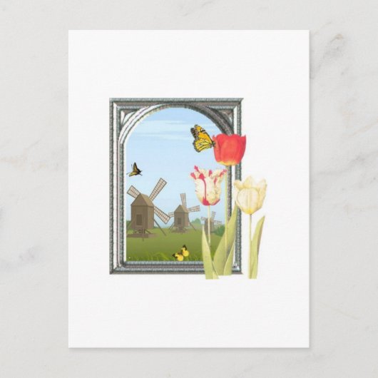 Tulpen uit Amsterdam Briefkaart (Voorkant)