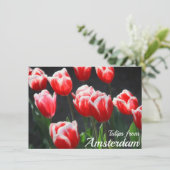Tulpen uit Amsterdam Kaart (Staand voorkant)
