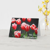 Tulpen uit Amsterdam Kaart (Gele Bloem)