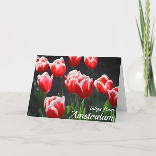 Tulpen uit Amsterdam Kaart (Voorkant)
