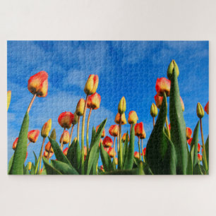 Tulpen uit Amsterdam. Legpuzzel