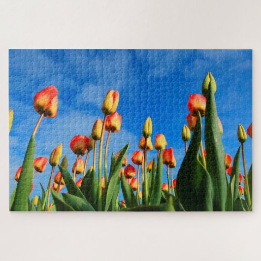 Tulpen uit Amsterdam. Legpuzzel (Horizontaal)