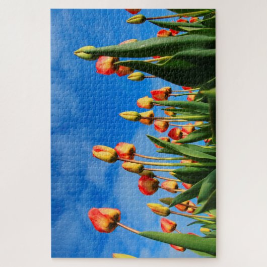 Tulpen uit Amsterdam. Legpuzzel (Verticaal)