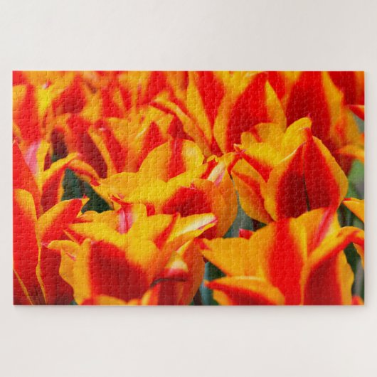 Tulpen uit Amsterdam. Legpuzzel (Horizontaal)