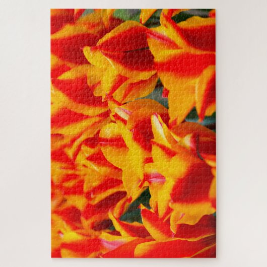 Tulpen uit Amsterdam. Legpuzzel (Verticaal)