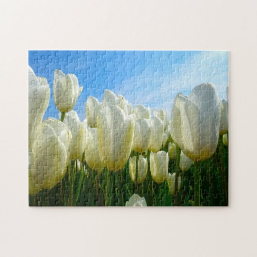 Tulpen uit Amsterdam. Legpuzzel (Horizontaal)