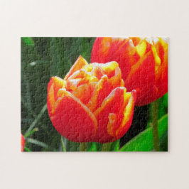 Tulpen uit Amsterdam. Legpuzzel