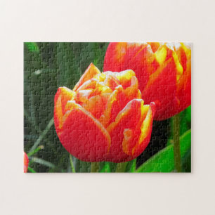 Tulpen uit Amsterdam. Legpuzzel