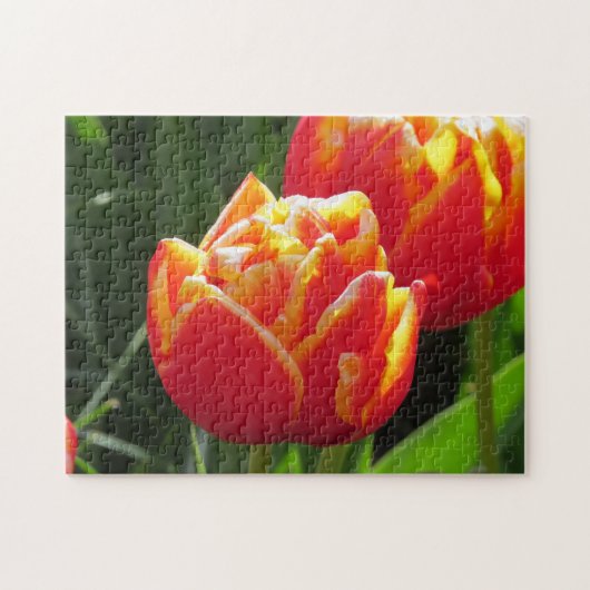 Tulpen uit Amsterdam. Legpuzzel (Horizontaal)