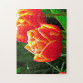 Tulpen uit Amsterdam. Legpuzzel (Verticaal)