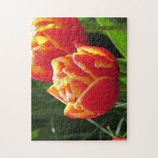 Tulpen uit Amsterdam. Legpuzzel (Verticaal)