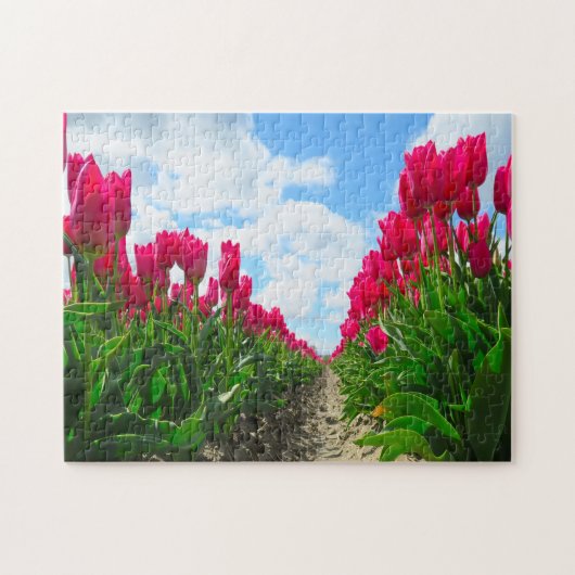 Tulpen uit Amsterdam. Legpuzzel (Horizontaal)