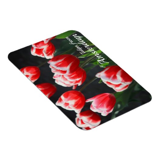 Tulpen uit Amsterdam Magneet (Rechterzijde)