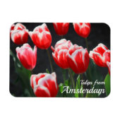 Tulpen uit Amsterdam Magneet (Horizontaal)