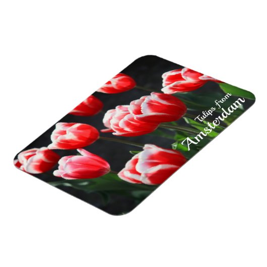 Tulpen uit Amsterdam Magneet (Linkerzijde)