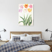 Tulpen uit de "Nassau Florilegium" (m/v op papier) Canvas Afdruk (Insitu (Slaapkamer))
