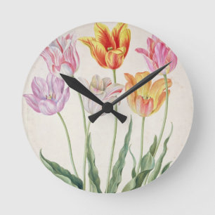 Tulpen uit de "Nassau Florilegium" (m/v op papier) Ronde Klok