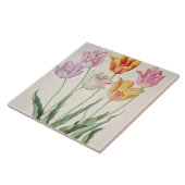 Tulpen uit de "Nassau Florilegium" (m/v op papier) Tegeltje (Zijkant)