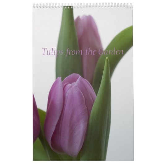 Tulpen uit de tuin kalender (Hoes)