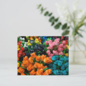 Tulpen van Amsterdam Briefkaart (Staand voorkant)