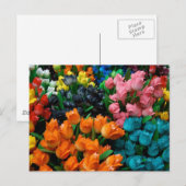 Tulpen van Amsterdam Briefkaart (Voorkant / Achterkant)