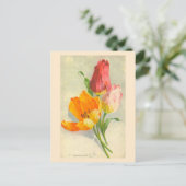 Tulpen van Catherine Klein Briefkaart (Staand voorkant)