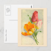 Tulpen van Catherine Klein Briefkaart (Voorkant / Achterkant)