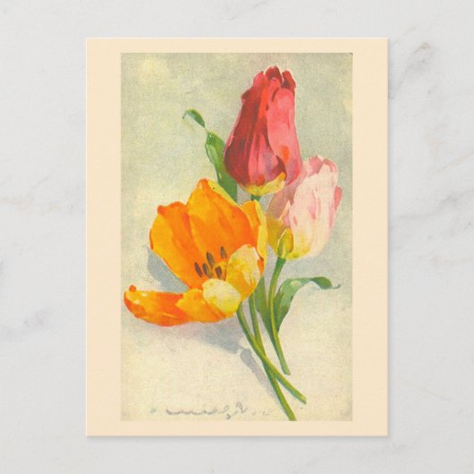 Tulpen van Catherine Klein Briefkaart (Voorkant)