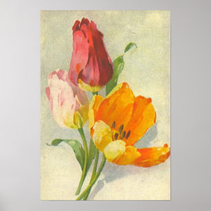 Tulpen van Catherine Klein Poster