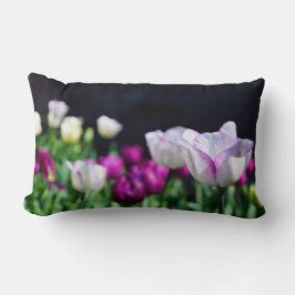 Tulpen van de lente kussen