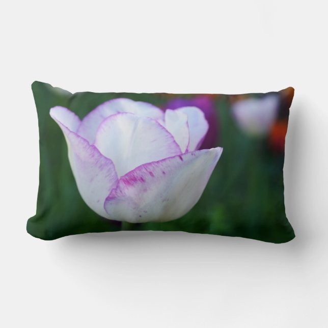 Tulpen van de lente kussen (Voorkant)