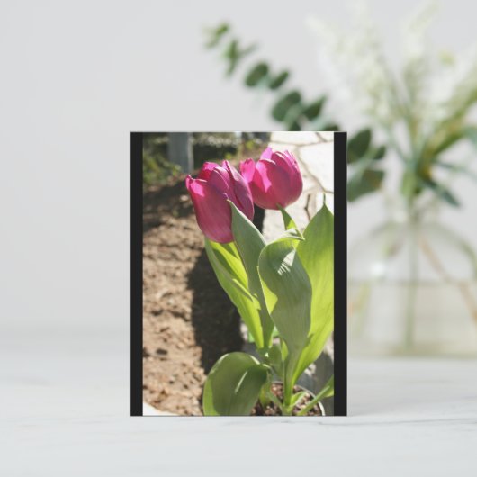 Tulpen van moeder briefkaart (Staand voorkant)