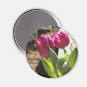 Tulpen van moeder magneet (Voorkant / Achterkant)