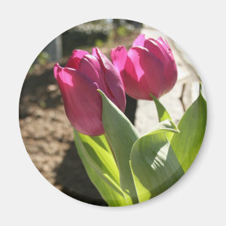Tulpen van moeder magneet