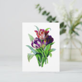 Tulpen van Pierre Joseph Redoute Briefkaart (Staand voorkant)