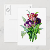 Tulpen van Pierre Joseph Redoute Briefkaart (Voorkant / Achterkant)
