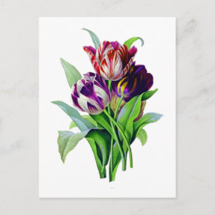 Tulpen van Pierre Joseph Redoute Briefkaart