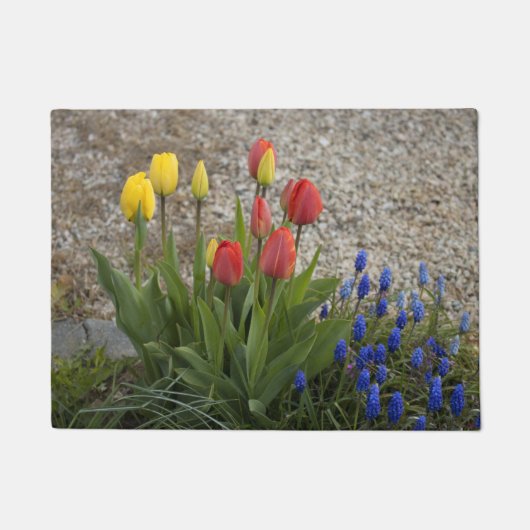 Tulpen van rood en geel deurmat (Voorkant)