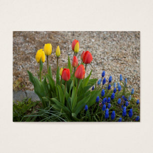 Tulpen van rood en geel visitekaartje