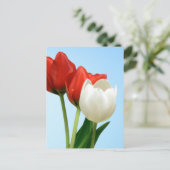 Tulpen van rood en wit briefkaart (Staand voorkant)