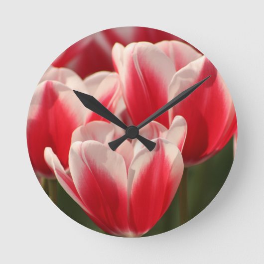 Tulpen van rood en wit ronde klok (Voorkant)