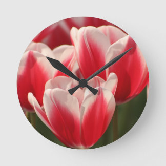 Tulpen van rood en wit ronde klok