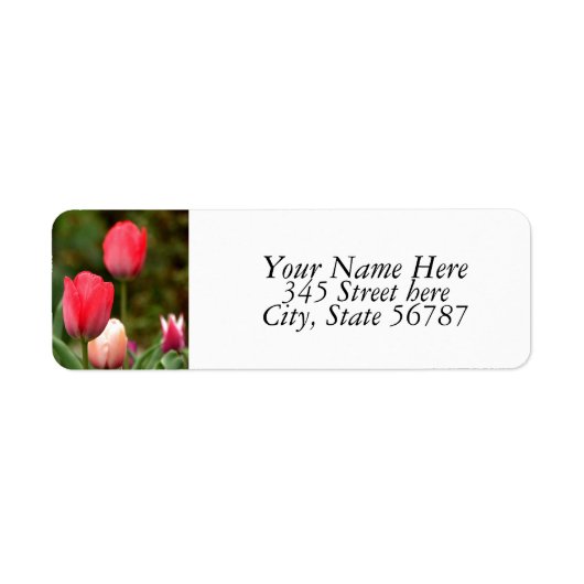 Tulpen veld Retouradres Labels (Voorkant)