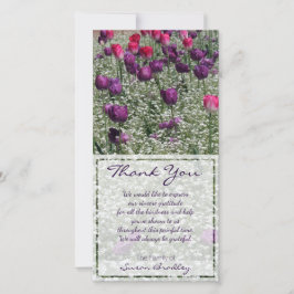 Tulpen Veld Sympathie Bedankt Fotokaart