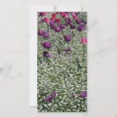 Tulpen Veld Sympathie Bedankt Fotokaart (Achterkant)