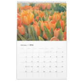 Tulpen veld waterverf schilderij 2 kalender (Jan 2026)