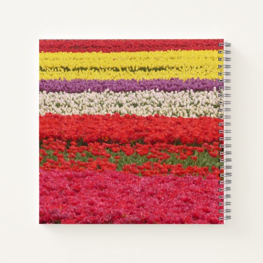 Tulpen veldsnit. Notitieboek Tekst vierkant (Achterkant)