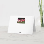 Tulpen Verjaardags- of wenskaart. Aanpassen Kaart (Achterkant)