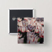 Tulpen Vierkante Button 5,1 Cm (Voorkant /achterkant)