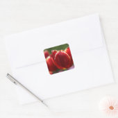Tulpen Vierkante Sticker (Envelop)
